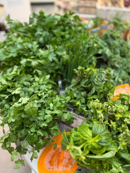 whatsapp image 2025 10 09 at 14.13.12